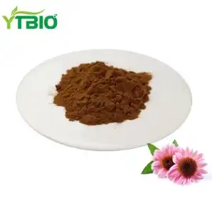 Benefits of Echinacea Purpurea Extract for Preventing Colds and Flu Benefits of Echinacea Purpurea Extract for Preventing Colds and Flu